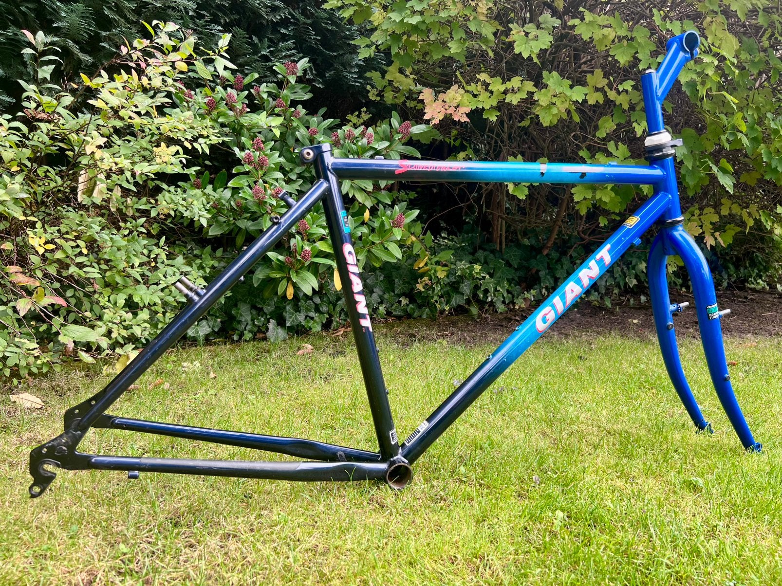 Giant Stonebreaker 90’s mtb FRAME !!, Ophalen of Verzenden, Zo goed als nieuw, Frame