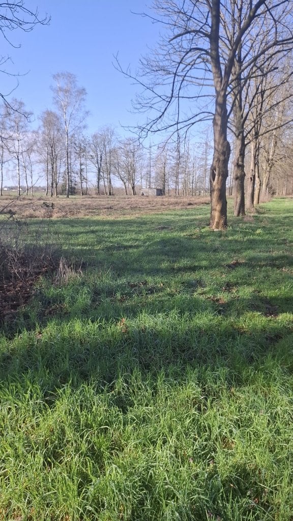 1,5 ha grond te huur - volledig omheind, Immo, Oudsbergen