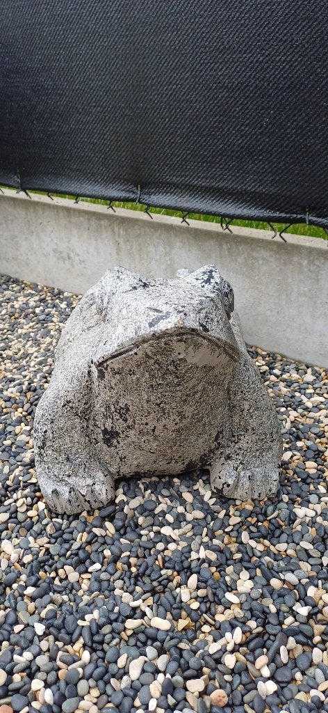 decoratie sten kikker, Tuin en Terras, Ophalen