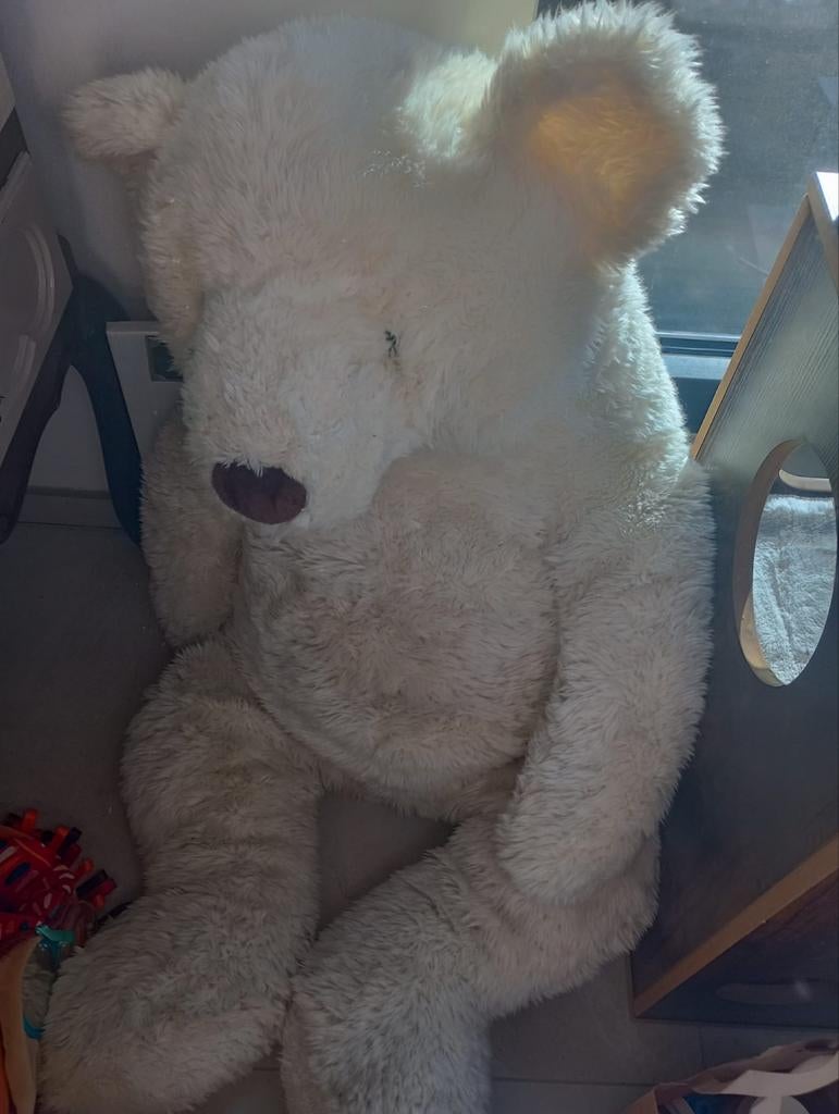 Un gros ours blanc., Enlèvement