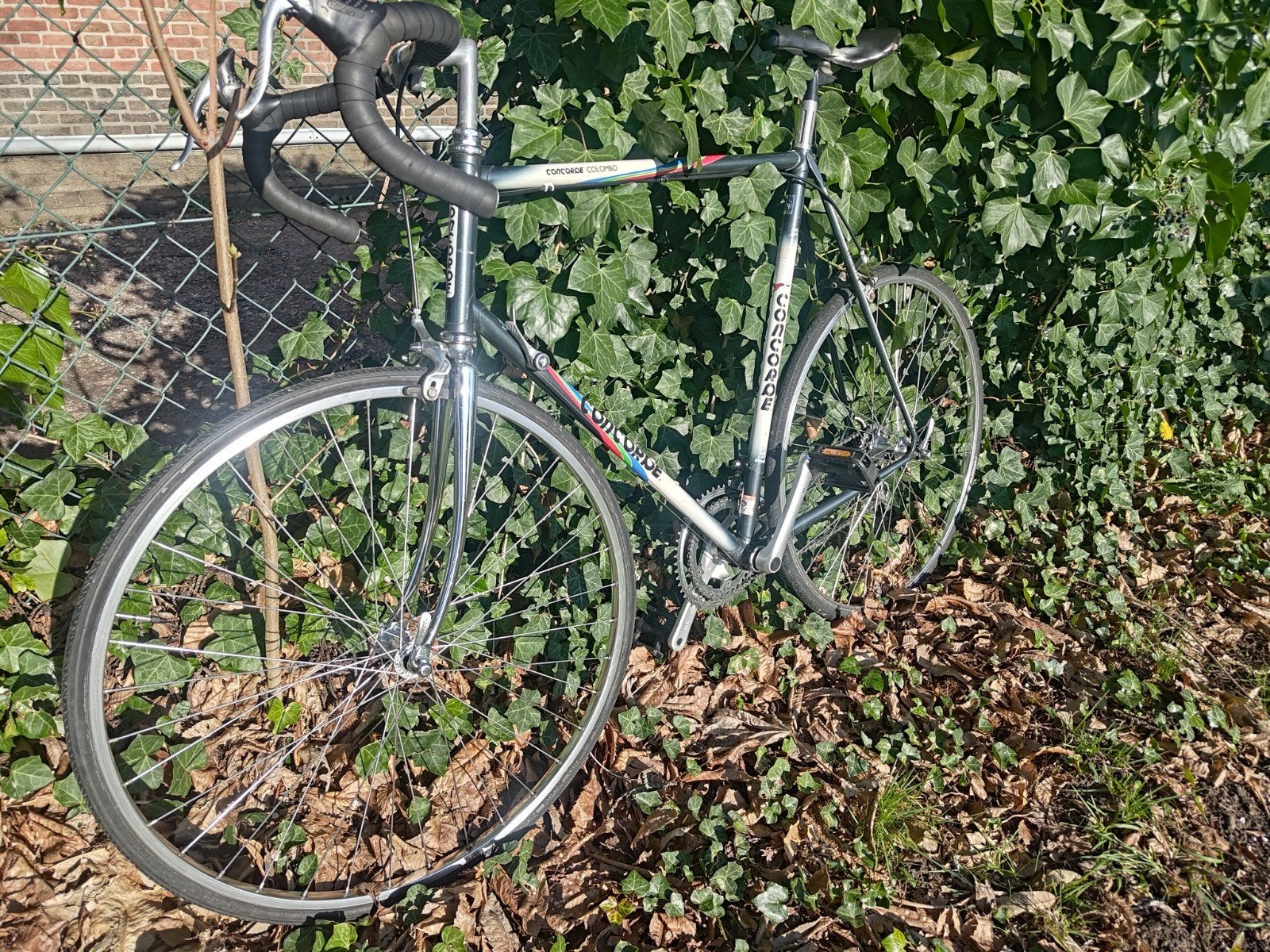 Retro Koersfiets Concorde, Vélos & Vélomoteurs, Vélos | Ancêtres & Oldtimers, Enlèvement