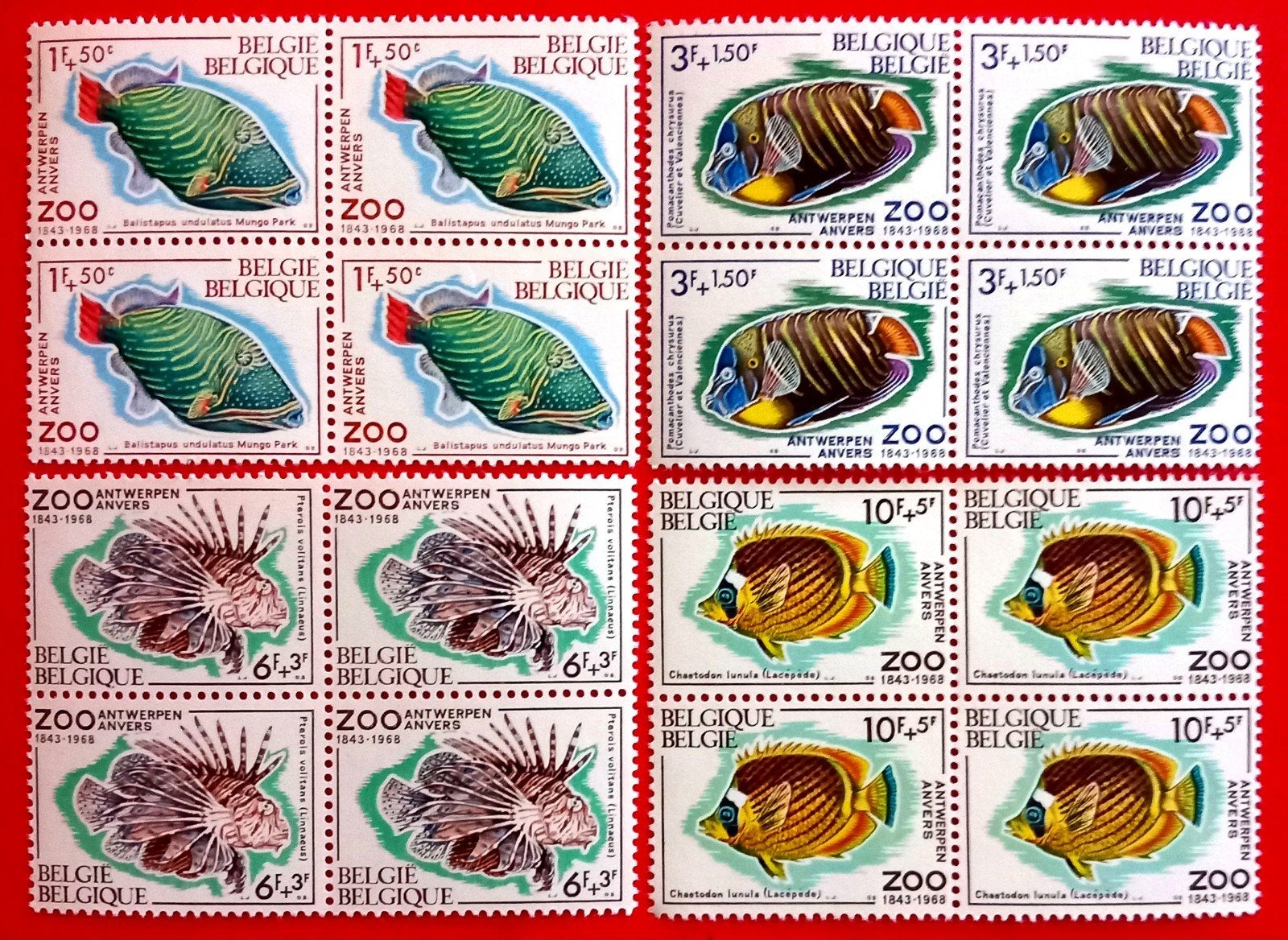 1968 Zoo d'Anvers MNH ** - COTB 1470/73 blocs de 4, Timbres & Monnaies, Neuf, Non oblitéré, Gomme originale, Envoi