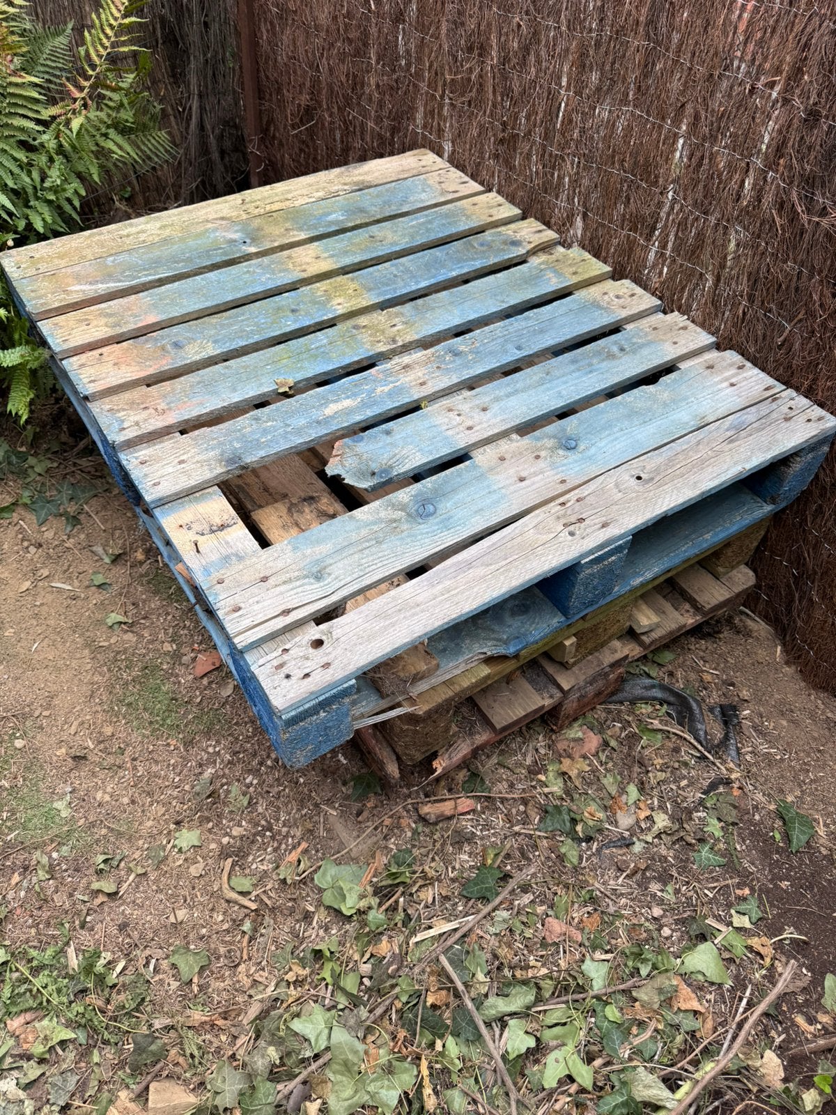 Gratis 3 paletten - brandhout, Tuin en Terras, Brandhout, Ophalen