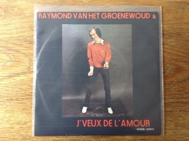single raymond van het groenewoud, 7 inch, Ophalen of Verzenden, Fotohoes, Nederlandstalig