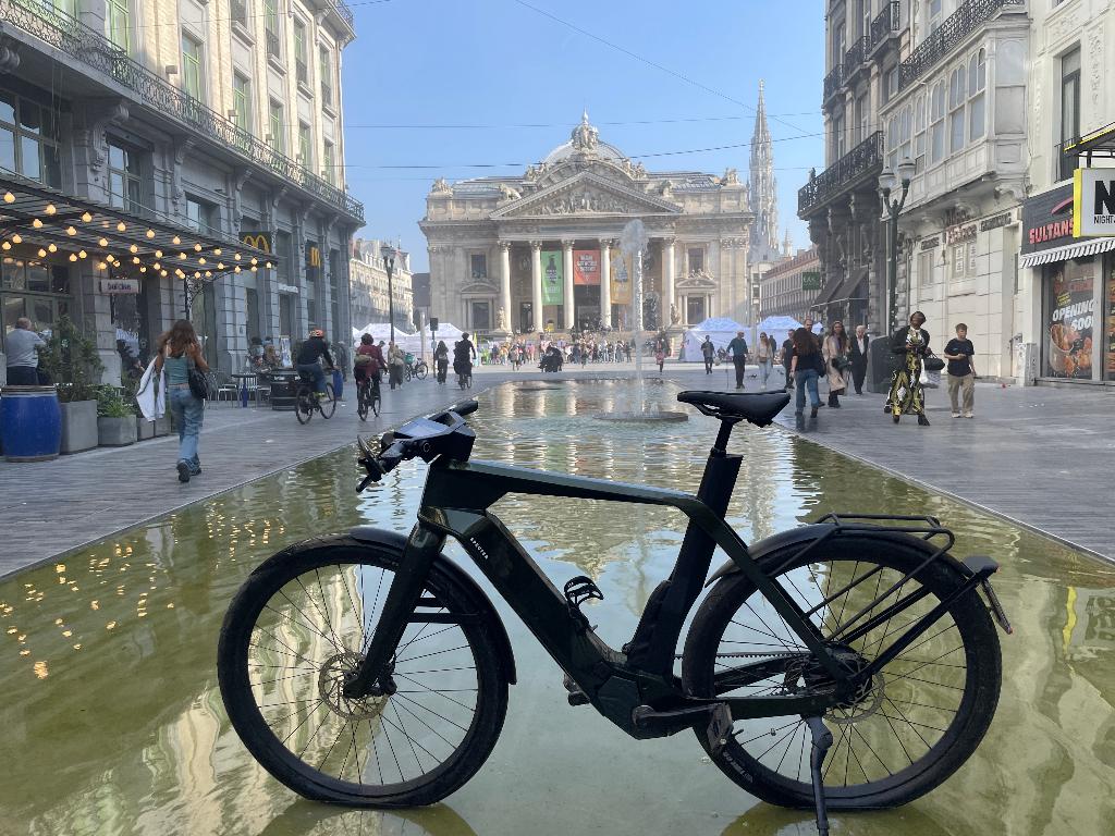 Pedelec à 1 vitesse Spectre, Vélos & Vélomoteurs, Vélos électriques, Comme neuf, Autres marques, 55 à 59 cm, 50 km par batterie ou plus