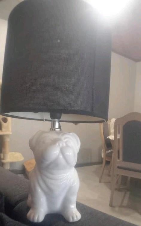 Lampe a prise avec un bulldog, Enlèvement