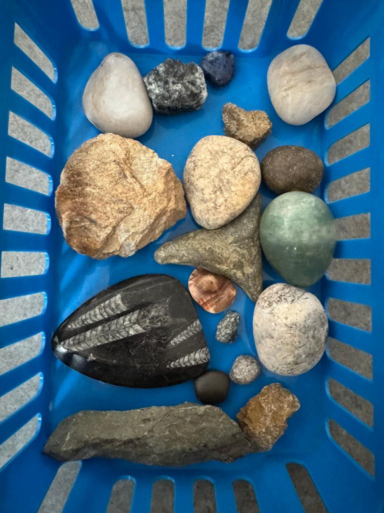 Partij fossielen/mineralen, Verzamelen, Mineralen en Fossielen, Ophalen of Verzenden