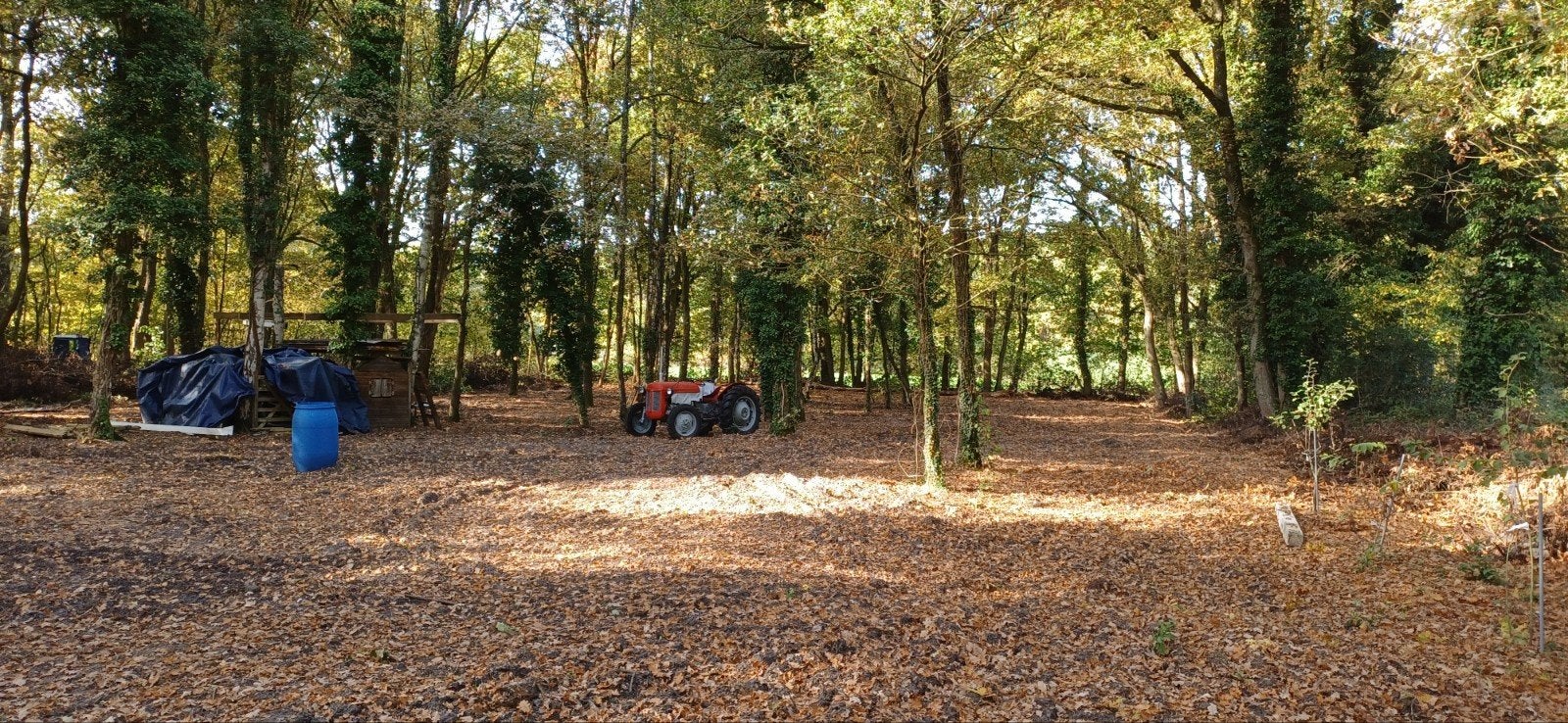 agriculture, terres, terres arables, 3600 Genk, 1500 m² ou plus