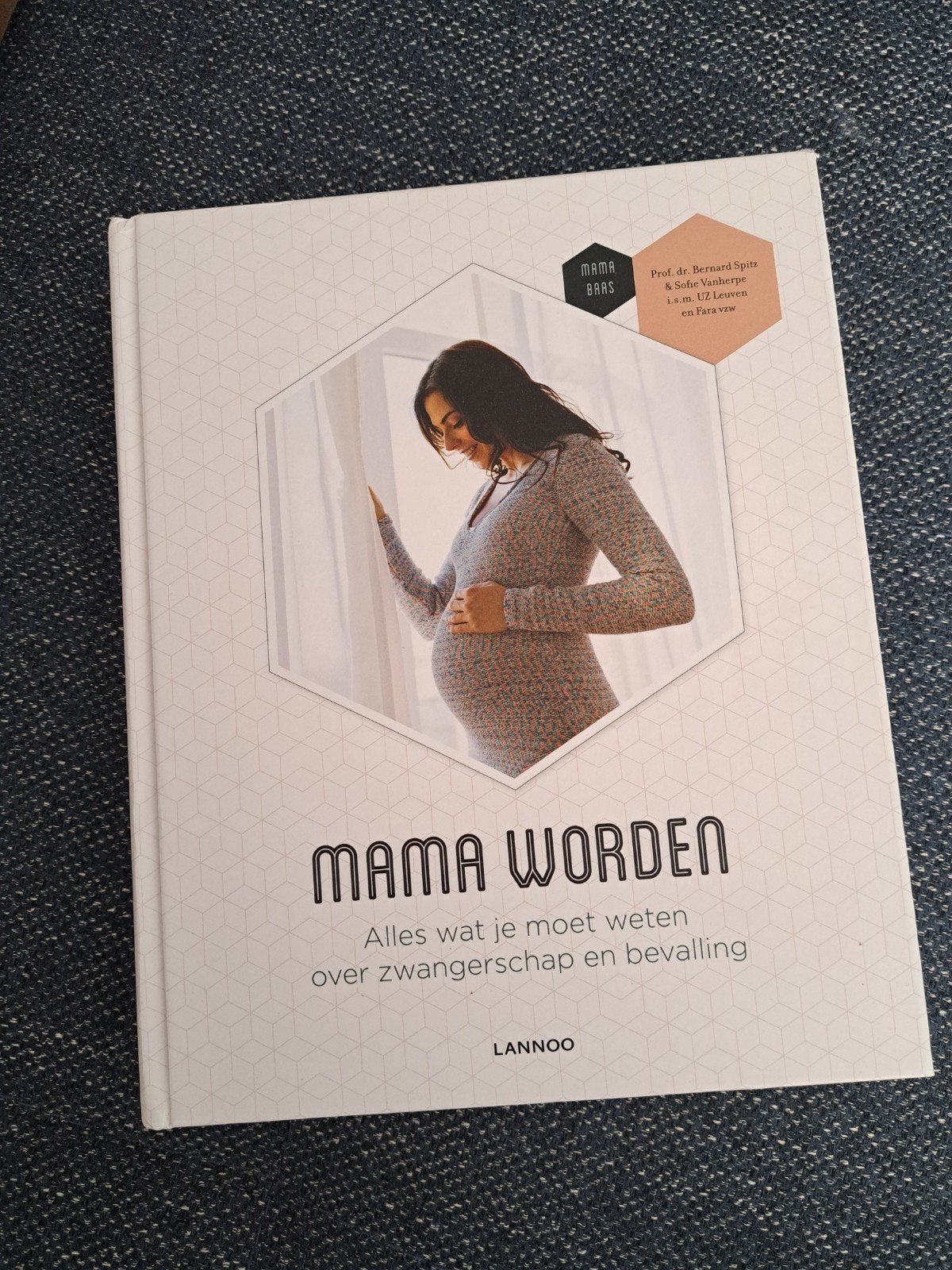 Mama worden (Bernard Spitz - Mama Baas), Boeken, Zwangerschap en Opvoeding, Ophalen, Zwangerschap en Bevalling, Bernard Spitz