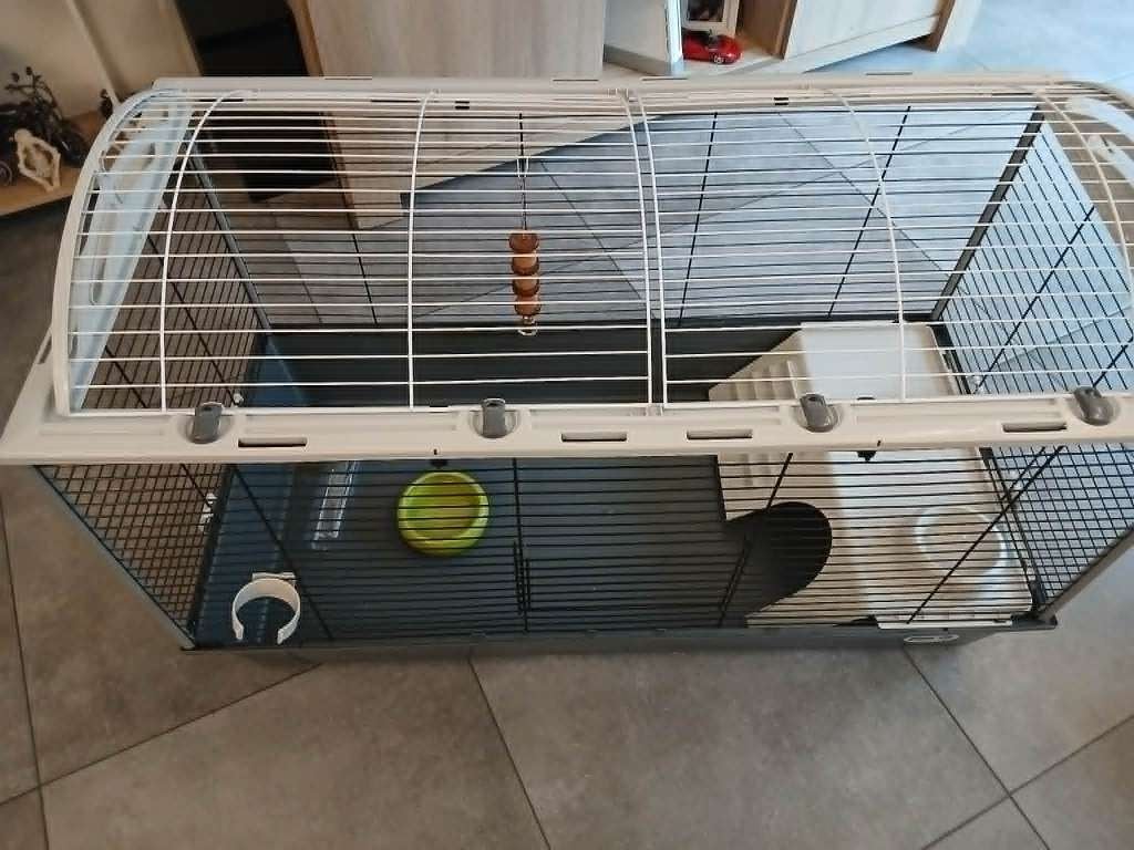 TE Koop, Kooi, 110 cm of meer, Cavia, Ophalen of Verzenden