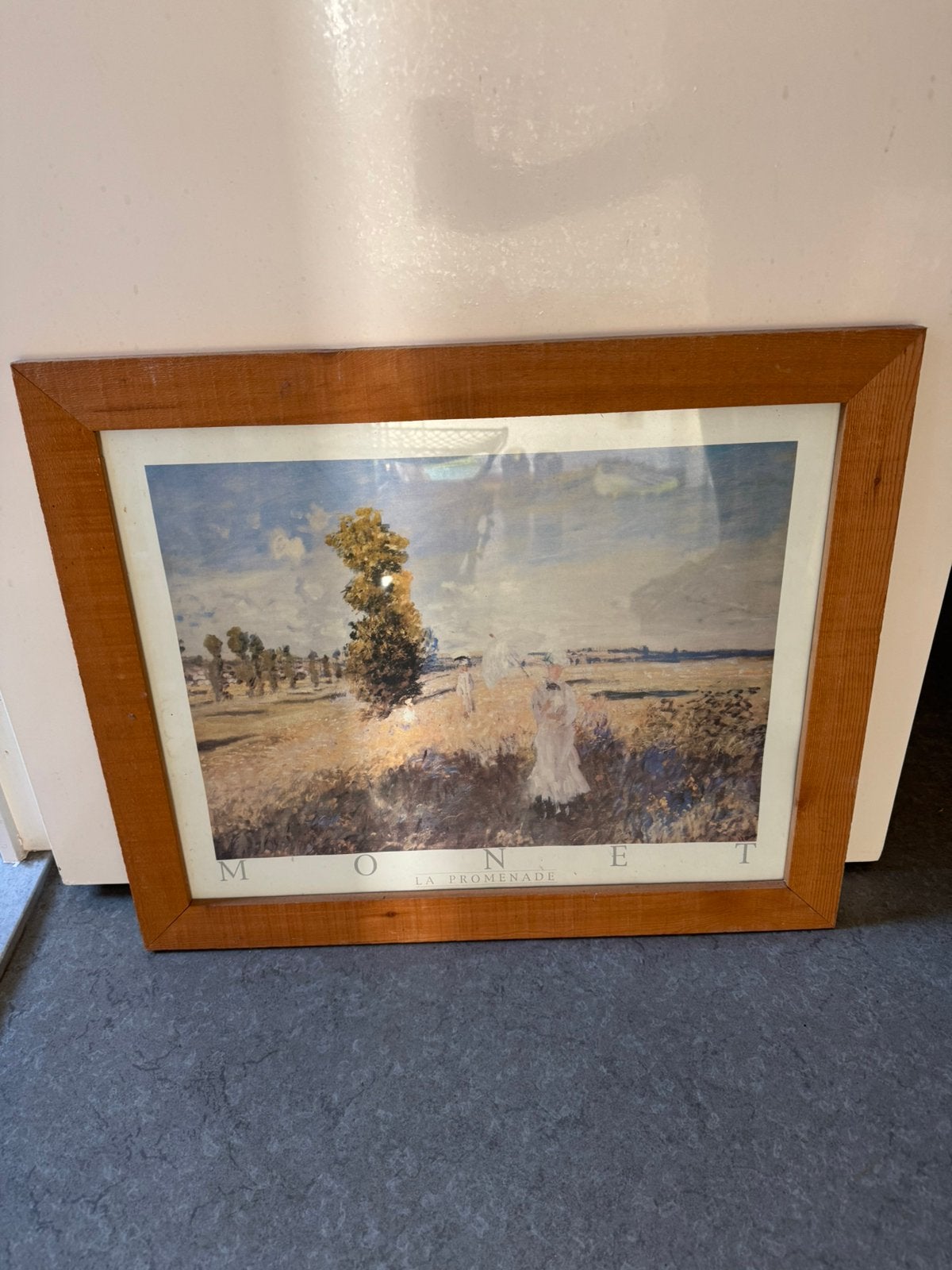 Afdruk monet in kader, Antiek en Kunst, Ophalen of Verzenden