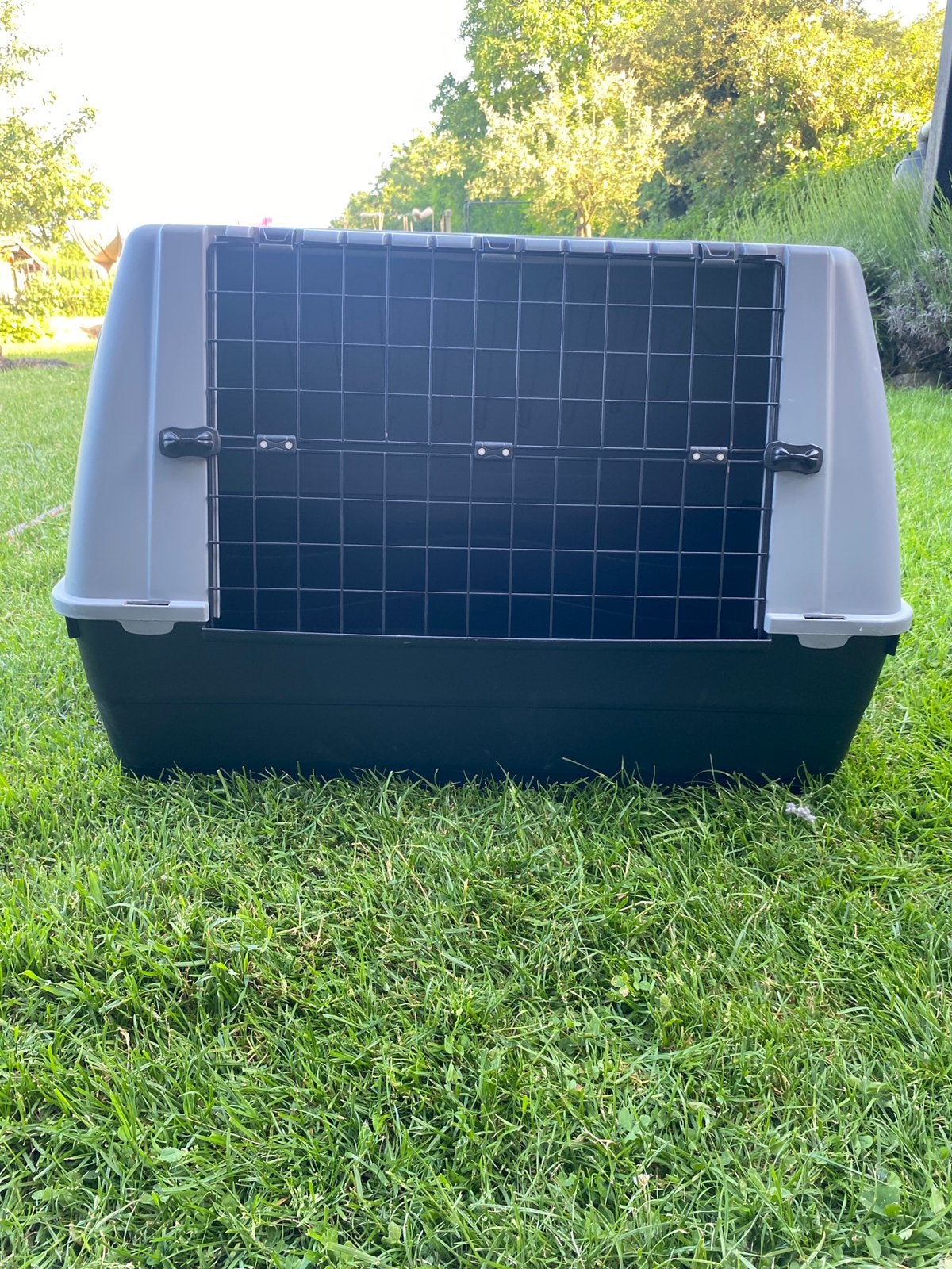 Cage de transport pour chien, Animaux & Accessoires, Maisons pour chiens, Enlèvement, Comme neuf