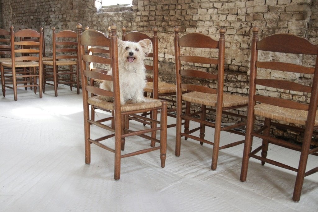 Chaises hollandaises en chêne et jonc (lot de 2, 4 ou 6), Enlèvement