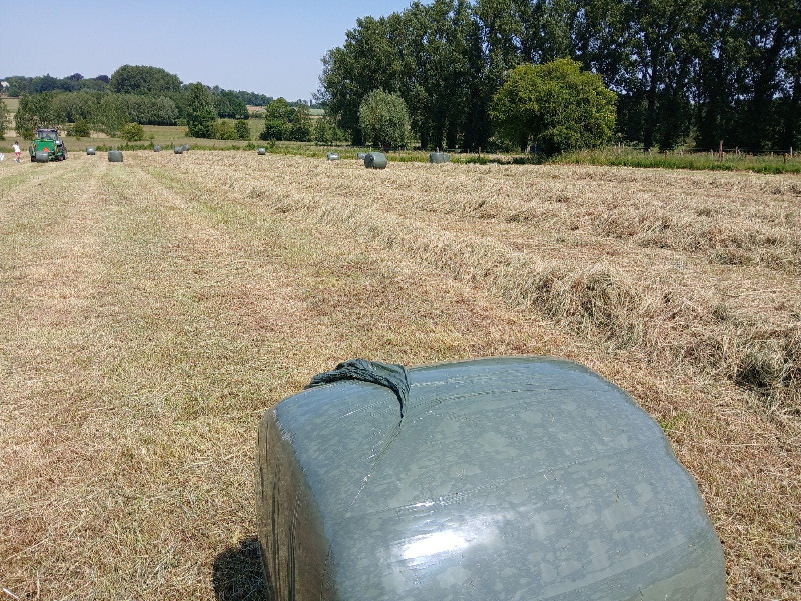 Midi balen voordroog/hooi