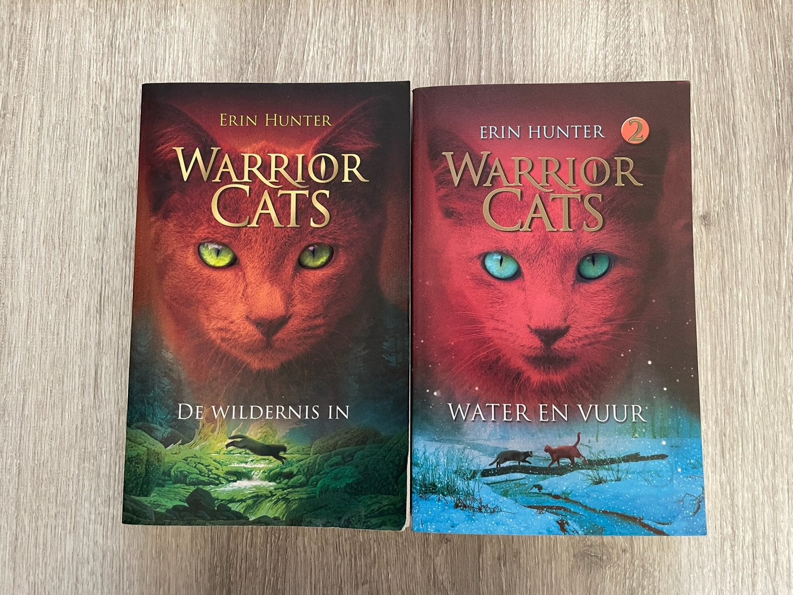Warrior Cats, Livres, Fantastique, Enlèvement ou Envoi, Comme neuf