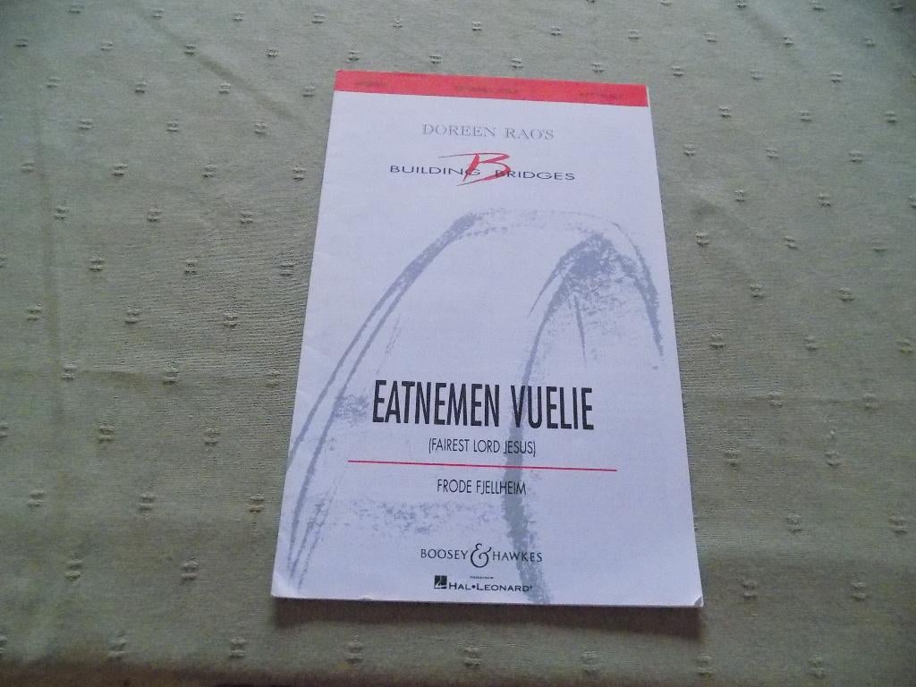 Partition Building Bridges-Doreen RAO'S, Musique & Instruments, Partitions, Comme neuf, Classique, Chant, Leçon ou Cours