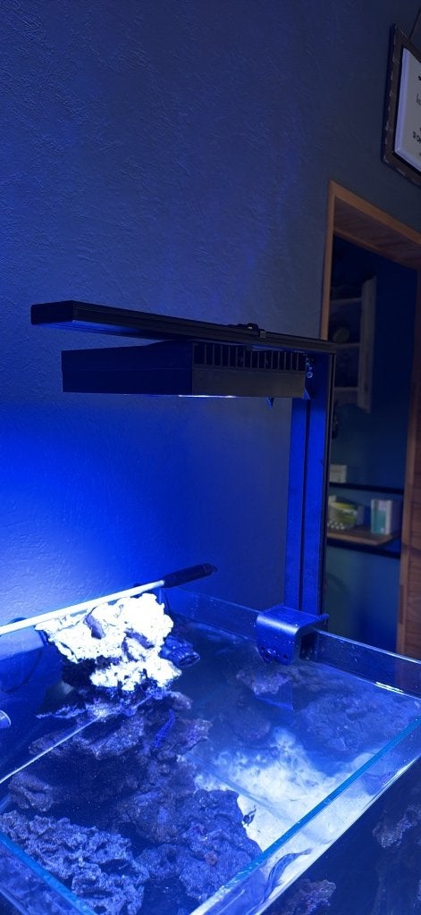 Rampe led Hydra hd 26, Ophalen, Gebruikt, App-bediening, Verlichting of Verwarming