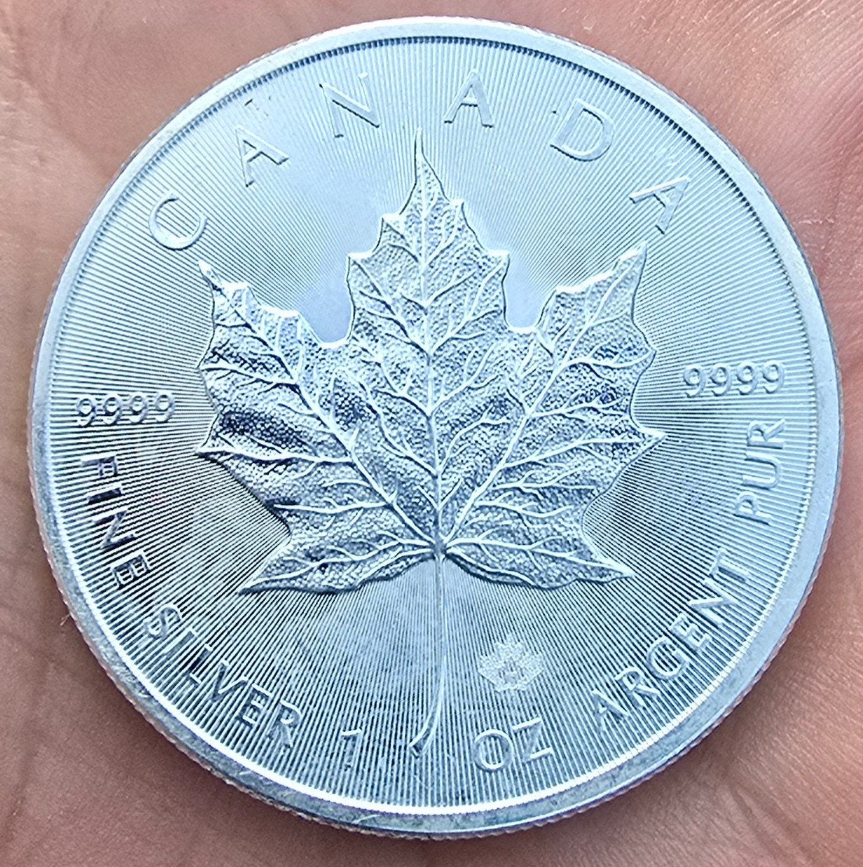 3 stuks Maple leaf zilver 1oz 2015, Postzegels en Munten, Ophalen, Zilver