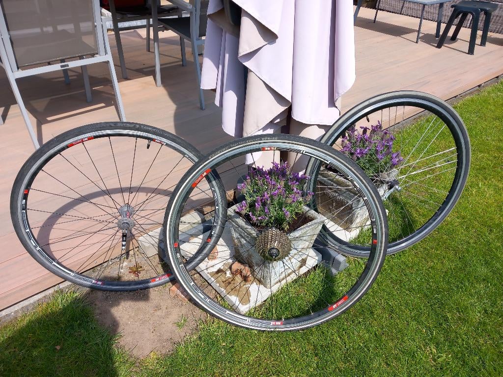 Sportfiets dames, Velgrem, Ophalen, Overige merken, Minder dan 10 versnellingen