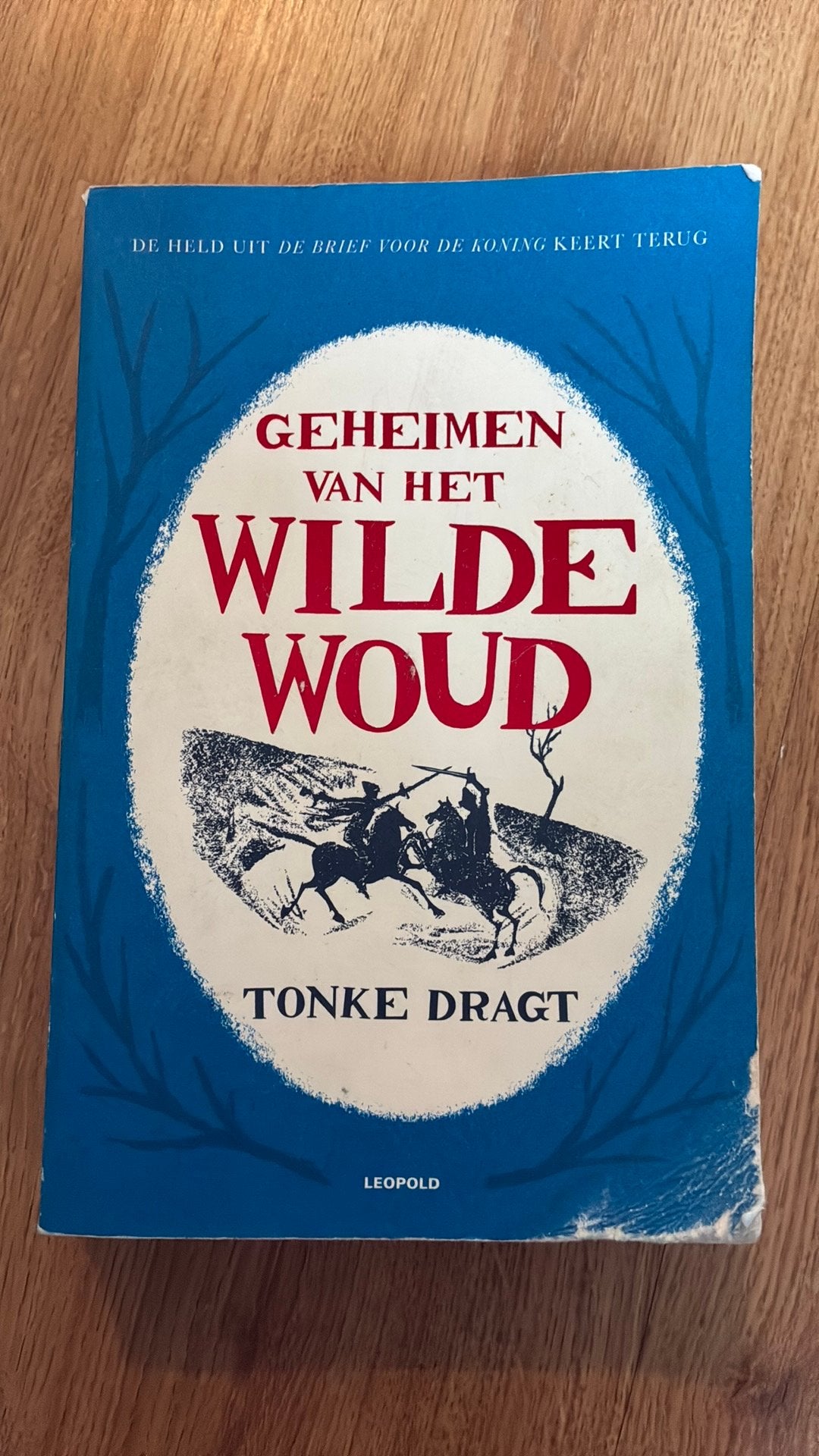 Geheimen van het zwarte wou - Tonke Dragt, Boeken, Ophalen, Gelezen