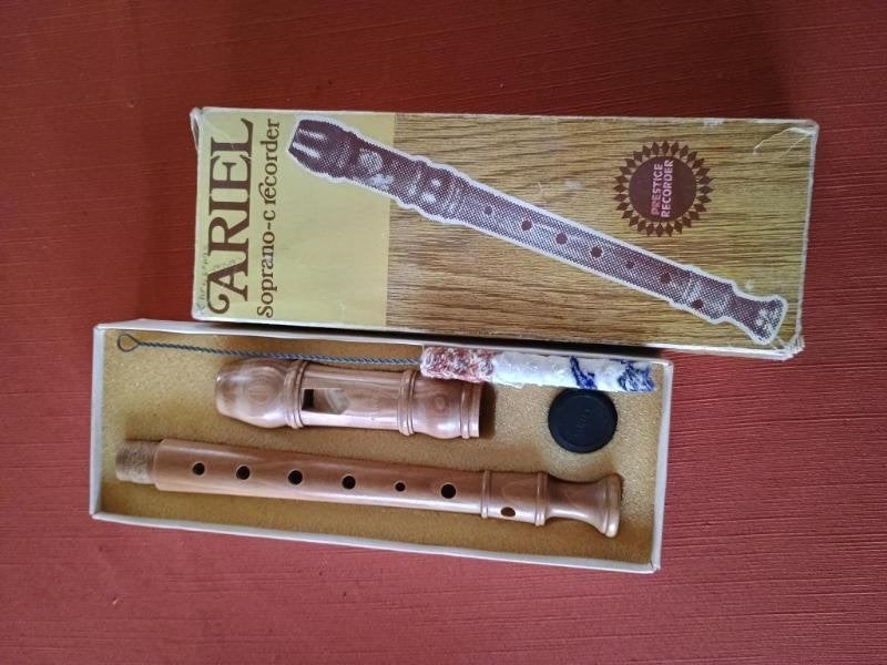 Houten blokfluit, Muziek en Instrumenten, Ophalen of Verzenden