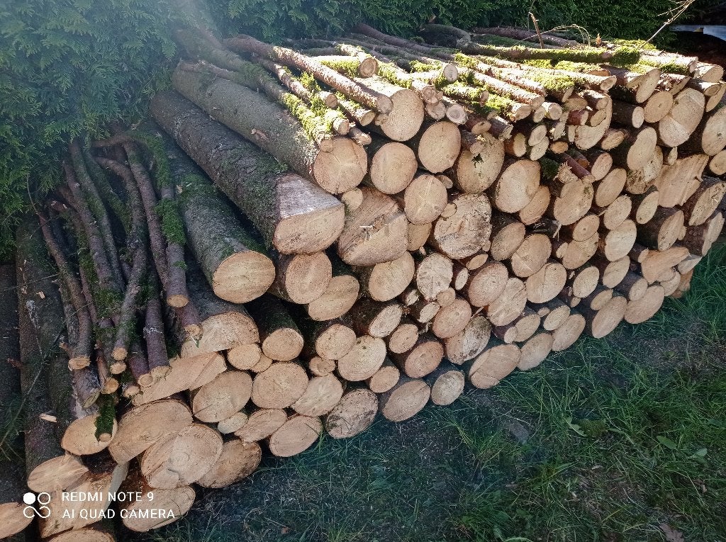 Bois de Chauffage Epicéa en 1m, Jardin & Terrasse, 6 m³ ou plus, Enlèvement, Autres essences de bois, Bûches