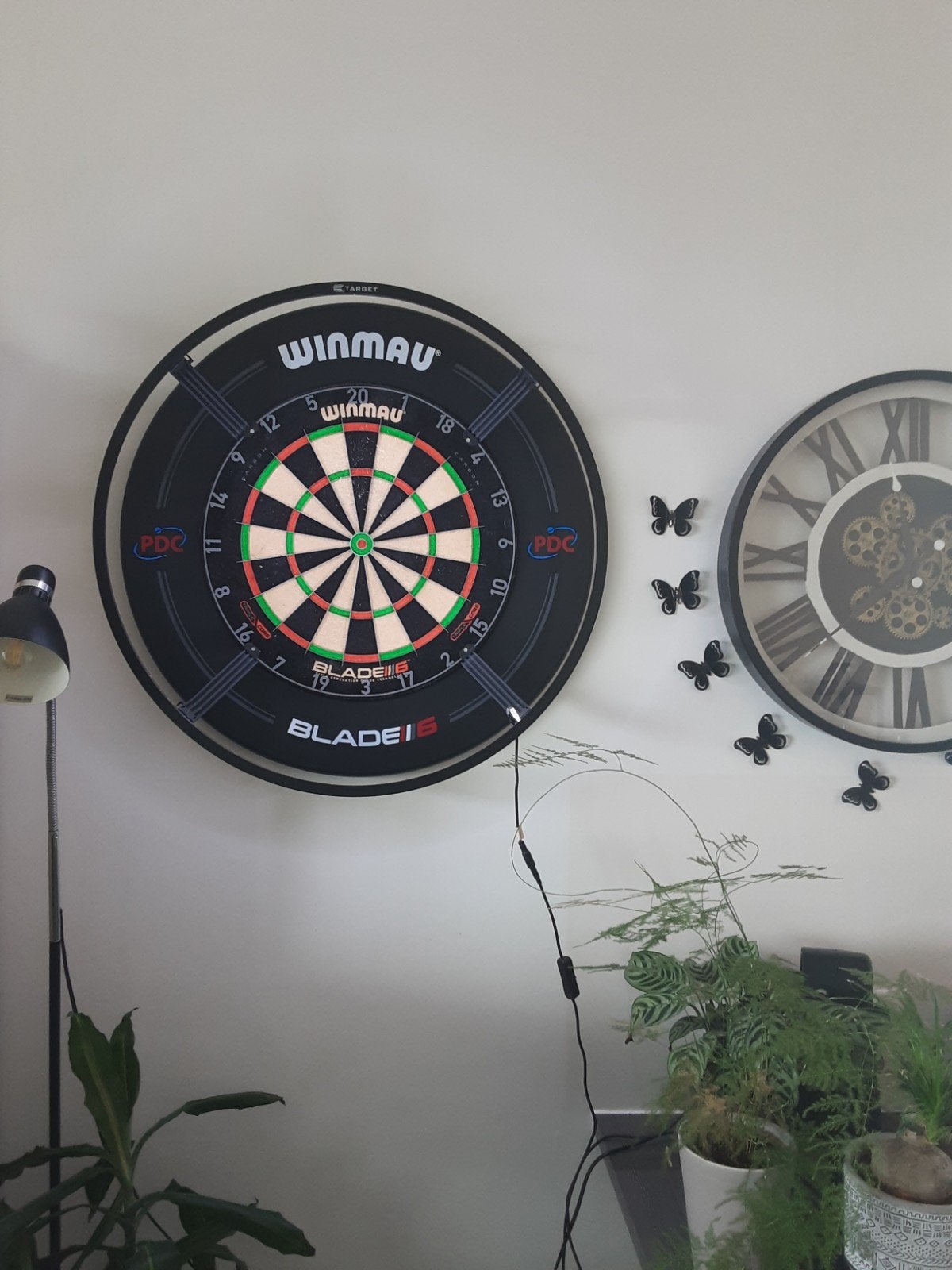 darts, Sport en Fitness, Darts, Ophalen
