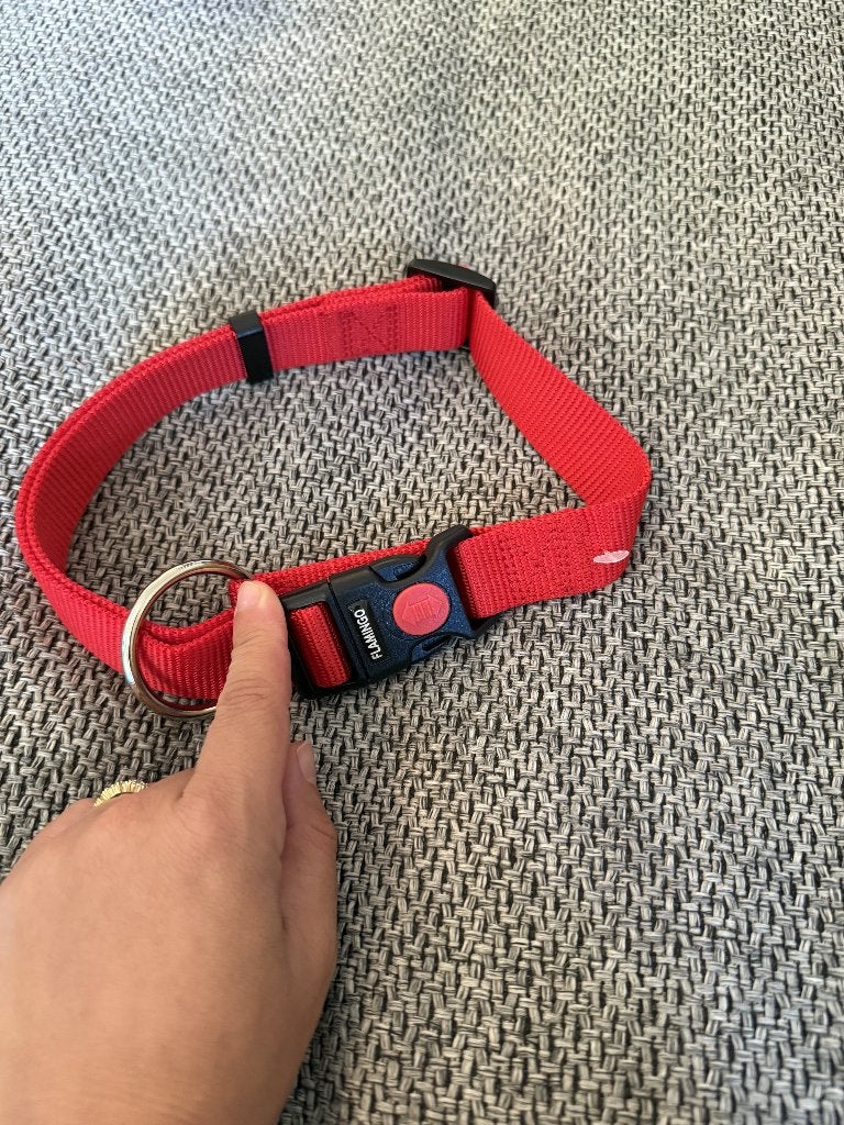 Nieuwe Flamingo hondenhalsband – maat Medium, Dieren en Toebehoren, Ophalen of Verzenden, Nieuw