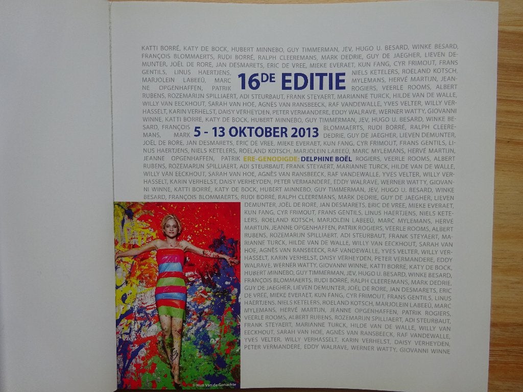 16e biënnale hedendaagse kunst, Rotary Aalter 2013, Ophalen of Verzenden, Zo goed als nieuw, Schilder- en Tekenkunst