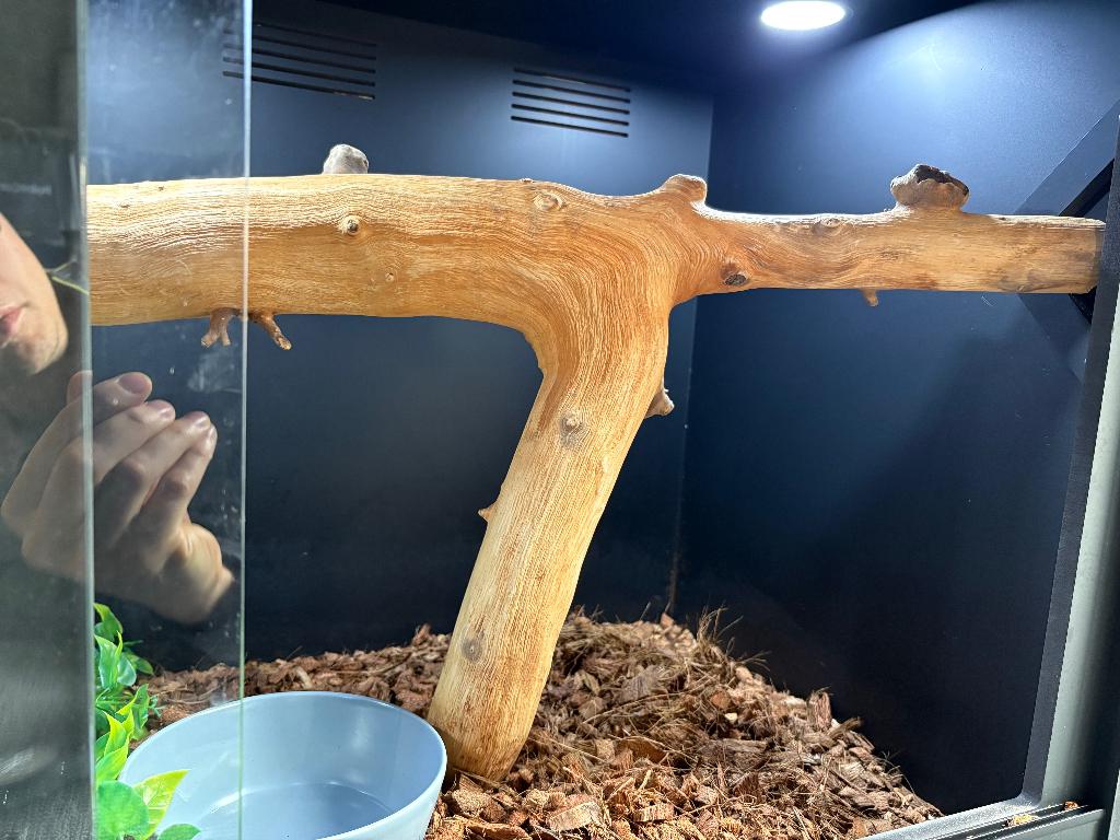 Terrarium équipé, Enlèvement, Comme neuf, Terrarium ou Paludarium