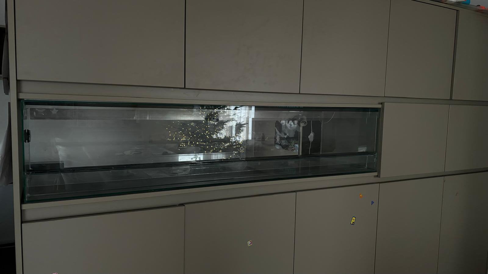 Terrarium, Dieren en Toebehoren, Ophalen, Gebruikt, Terrarium of Paludarium