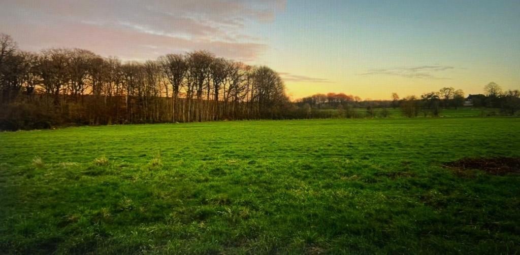 Prachtig stuk bouwgrond in Brûly-de-Pesche, Immo, Brûly de Pesche, 1000 tot 1500 m²