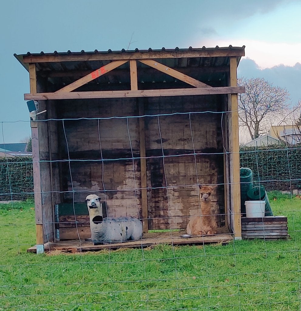 Mooie schuilstal, Animaux & Accessoires