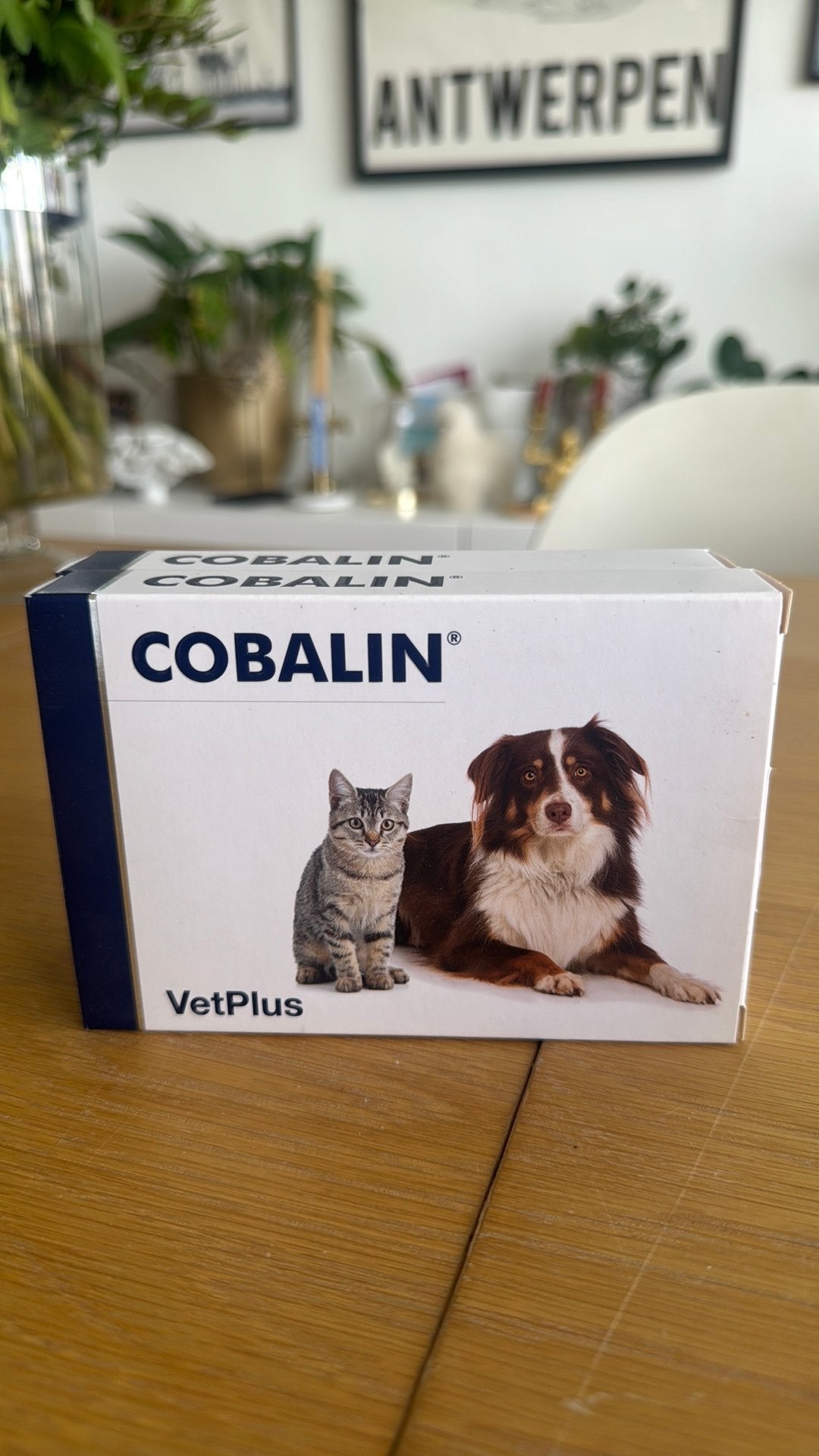 Cobalin medicatie kat/hond, Diversen, Ophalen of Verzenden, Zo goed als nieuw