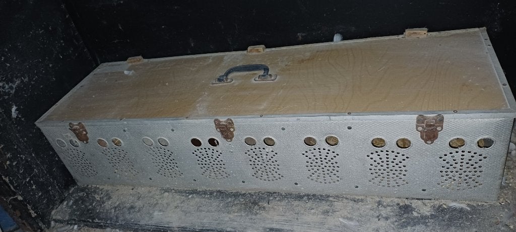 Aluminium duivenmand, Sexe inconnu, Autres espèces