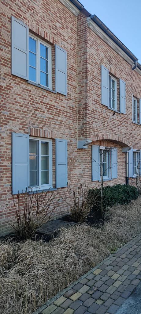 Sierluiken in hout (grijs), Bricolage & Construction, Vitres, Châssis & Fenêtres, Enlèvement