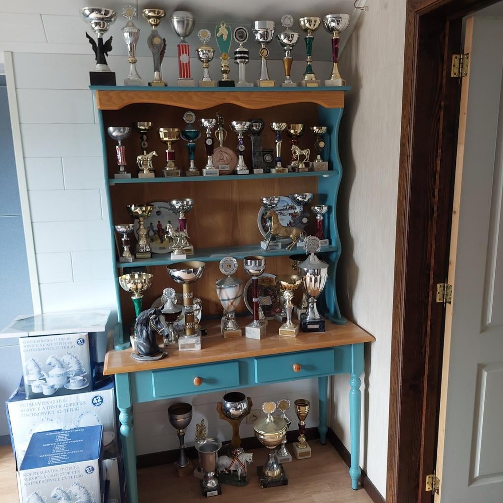 Partij vintage trofeeën (paarden)sport, Ophalen