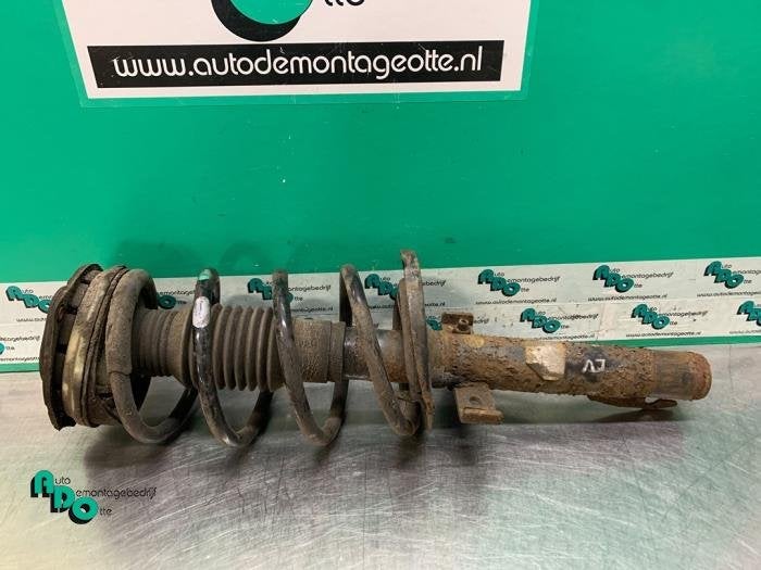 Schokdemperpoot links-voor van een Renault Scenic (Scenic 03, Gebruikt, -, Renault, -
