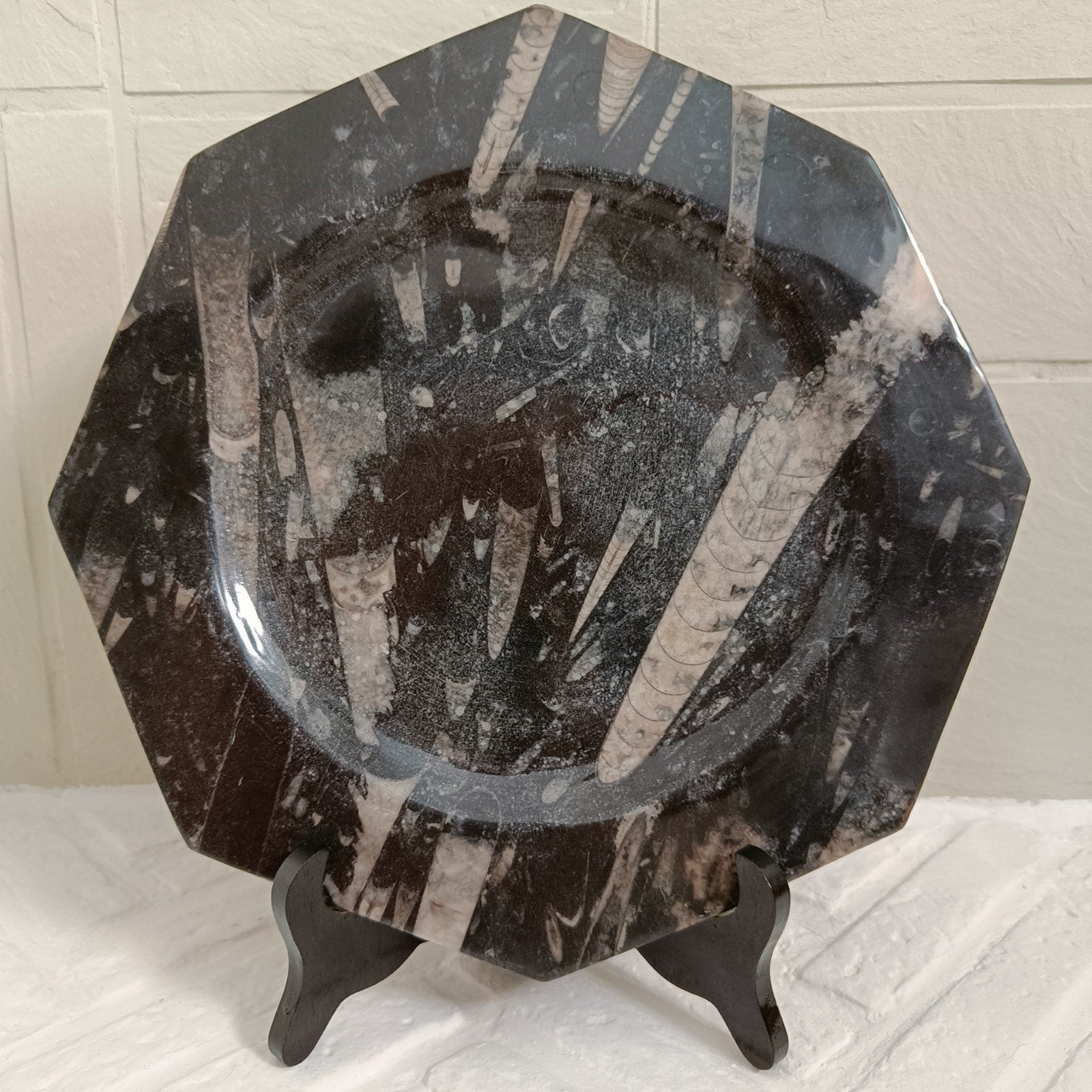 Bol et assiette Orthoceras., Enlèvement ou Envoi, Fossile