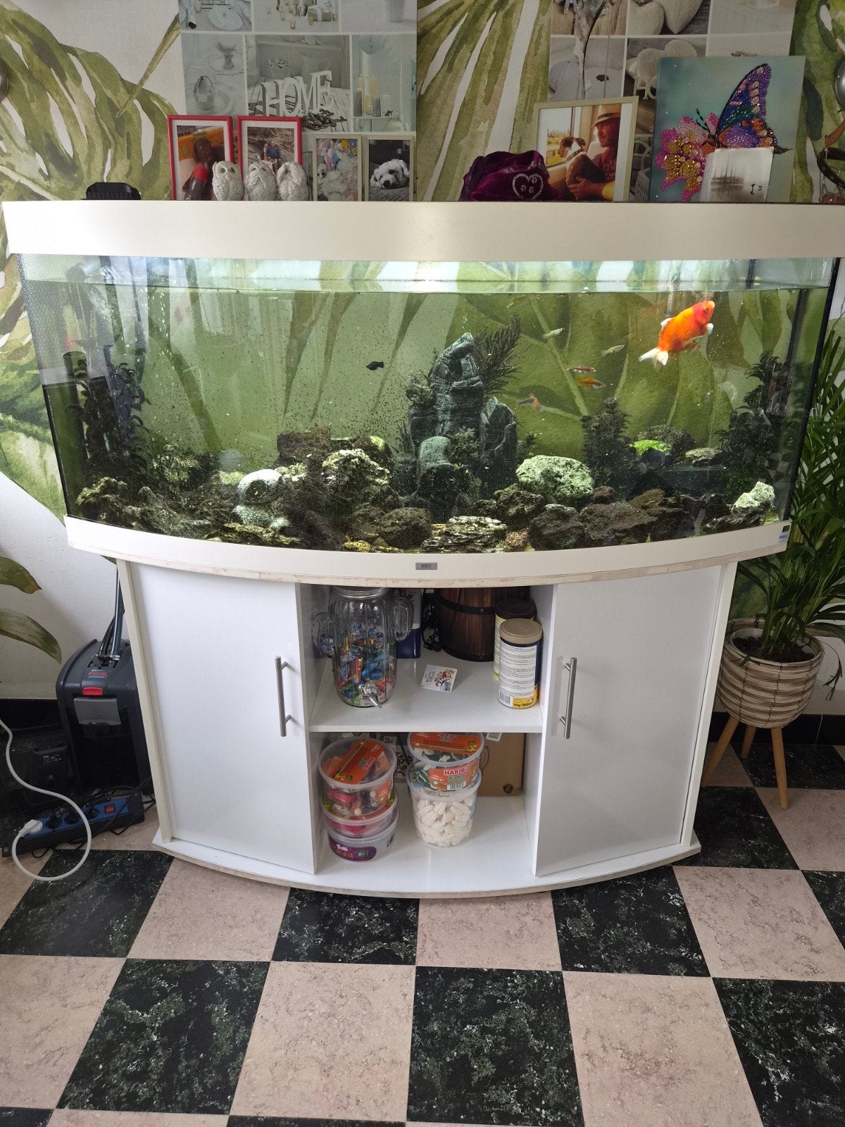 mooie aquarium met meubel, Dieren en Toebehoren, Ophalen