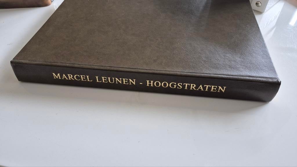 Boek geschiedenis Hoogstraten MarcelLeunen, Boeken, Ophalen