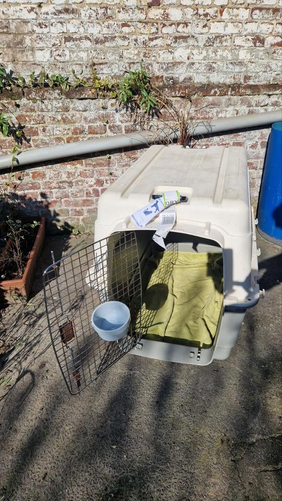 Cage de transport avion chien, Enlèvement