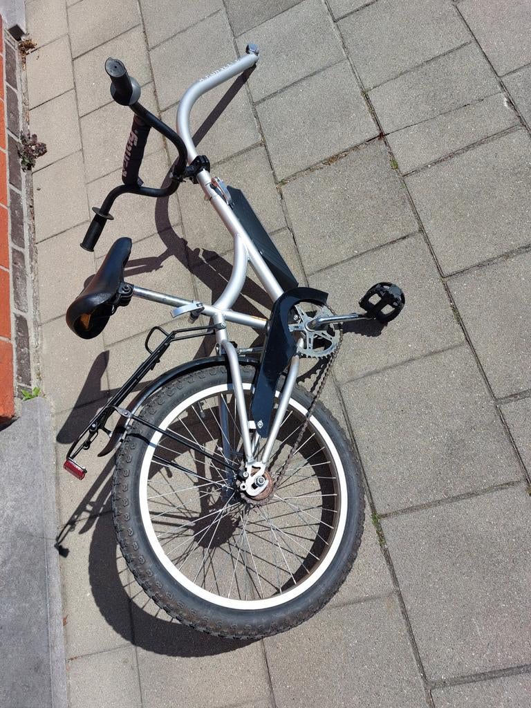 Aanhangfiets, Fietsen en Brommers, Ophalen, Gebruikt, Aanhangfiets