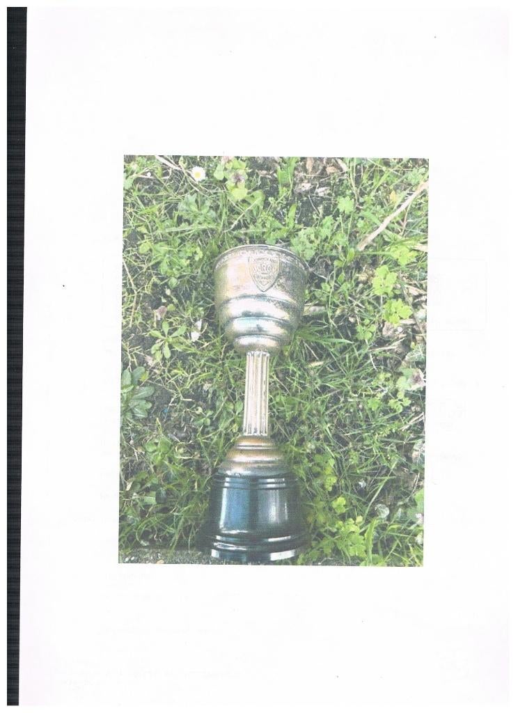 TROFEE BEKER LEROY BOEZINGE, Verzenden, Zo goed als nieuw, Overige typen