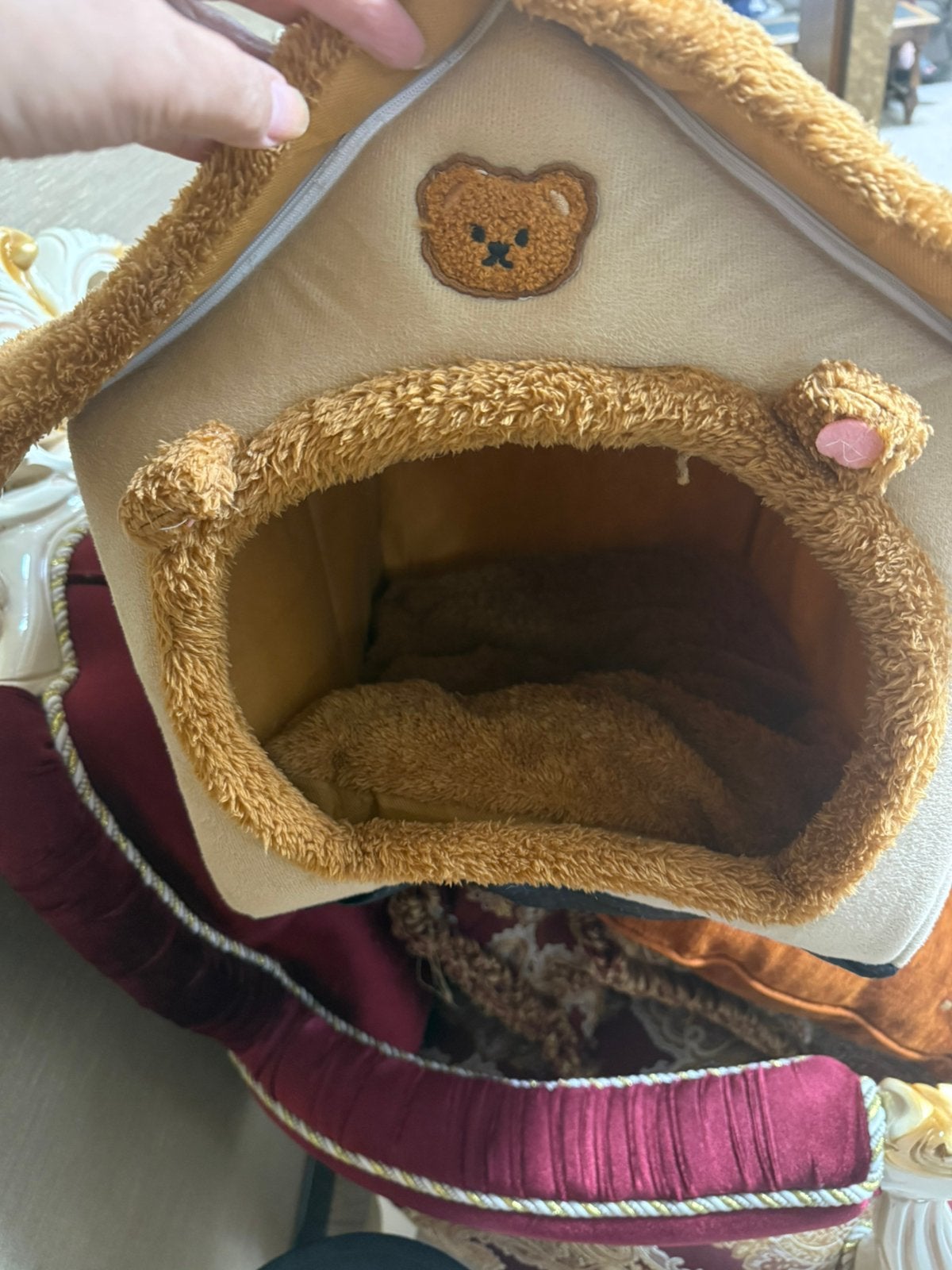 Espace de vie pour chats, Enlèvement