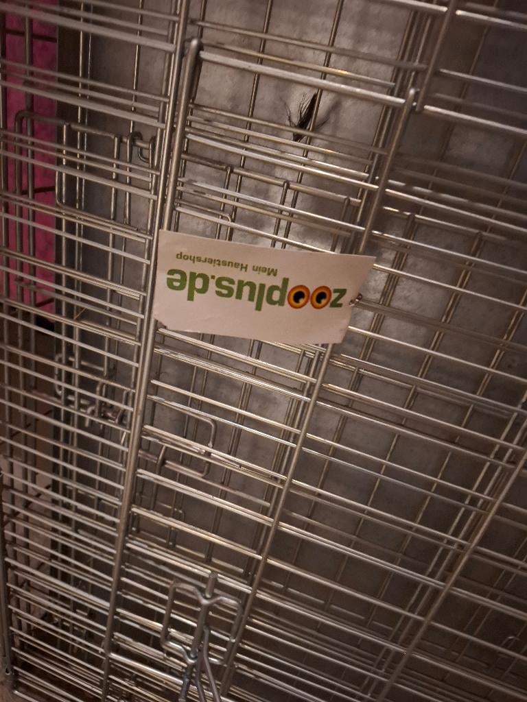Honden bench nieuwstaat, Dieren en Toebehoren, Ophalen of Verzenden