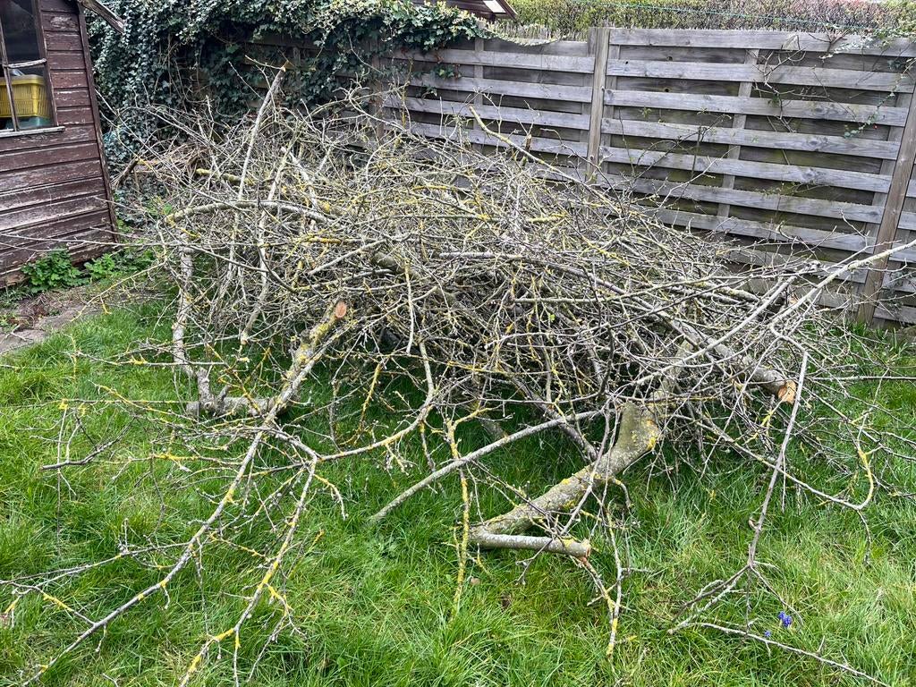 Brandhout, Tuin en Terras, Brandhout, Ophalen, Takken