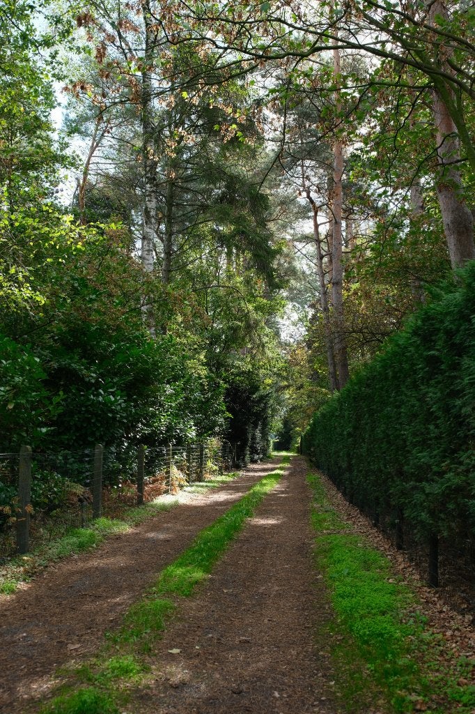 Recreatiegrond 1.260 m² in groene omgeving – Wachtebeke, Langelede 99 - 9185 Wachtebeke, Verkoop zonder makelaar, 1000 tot 1500 m²