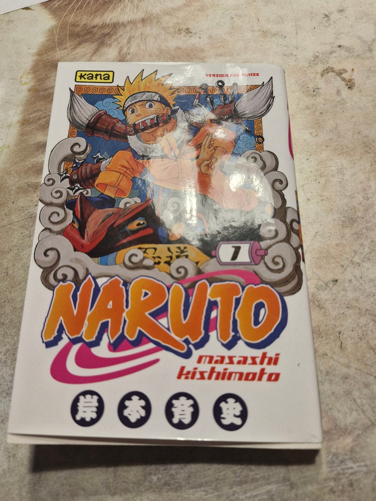 livre naruto 7 en bonne etat, Livres, Enlèvement ou Envoi, Comme neuf