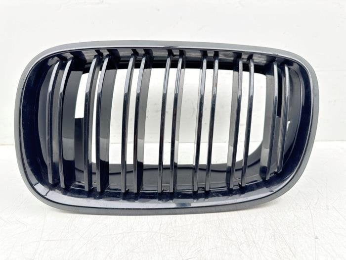 Calandre d'un BMW X5 (475), -, 3 mois de garantie, Utilisé, -